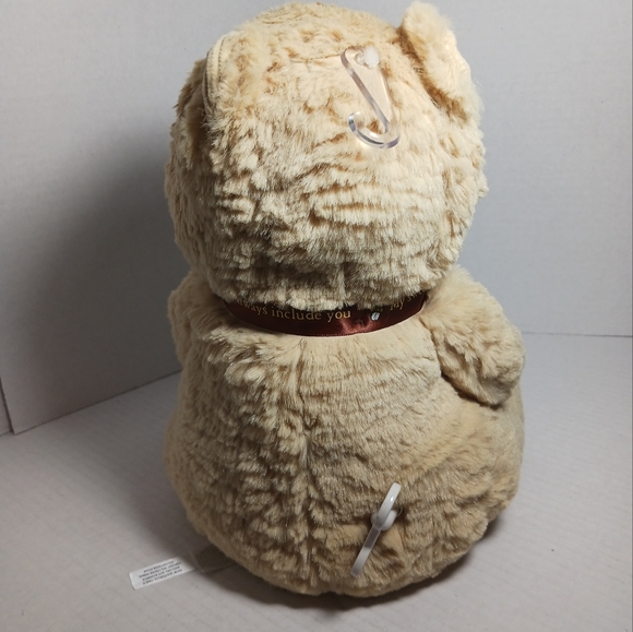 DISNEY BABY Winnie the Pooh Honey Pot Music Wind Up Plush Stuffed Animal Works - Picture 6 of 8